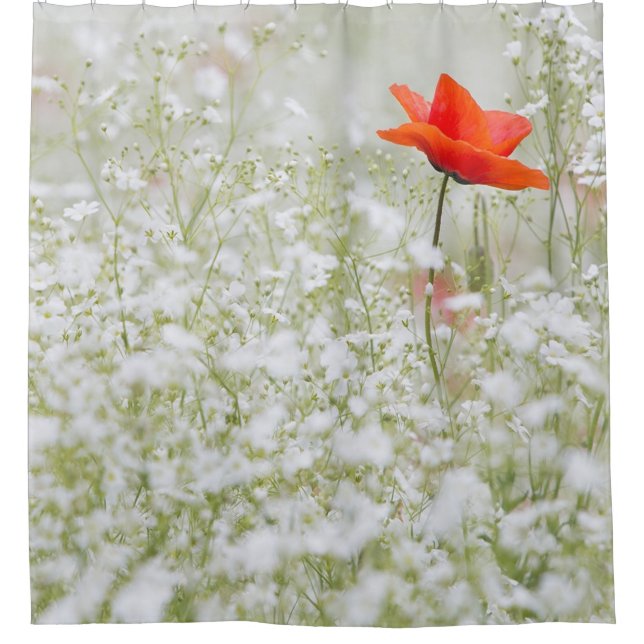 White   flowers pretty Poppy shower curtain (Front)
