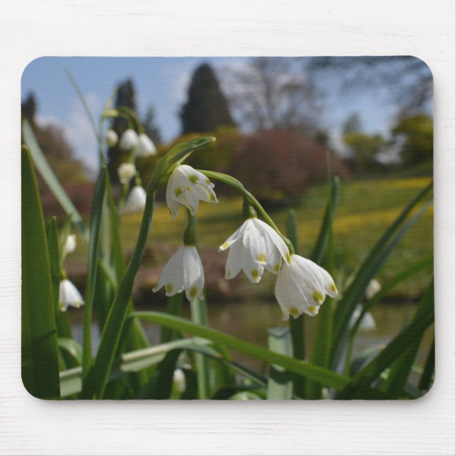 White Flowers Snowdrops w/ Landscaped Gardens Mouse Mat (Front)