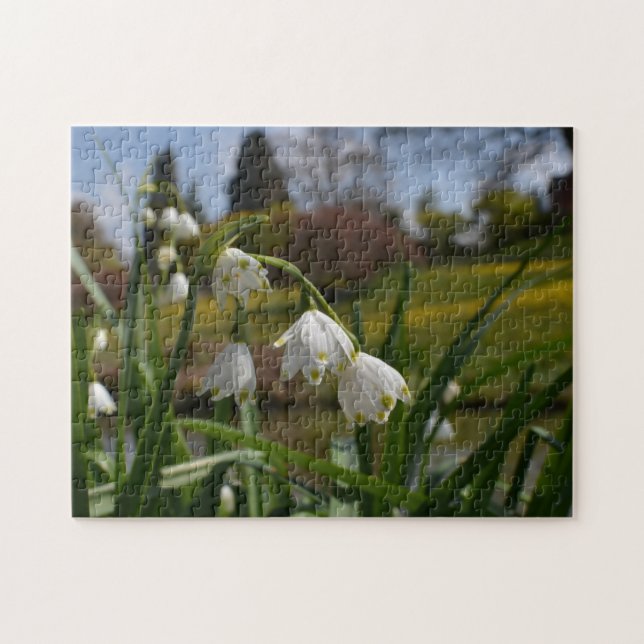 White Flowers w/ Landscaped Gardens in Background Jigsaw Puzzle (Horizontal)