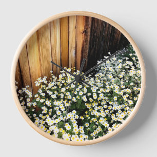 White flowers & weathered fence (wood border) clock