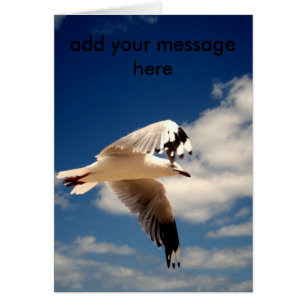 White Flying Sea Gull,