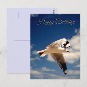 White Flying Seagull, Birthday Poscard Postcard