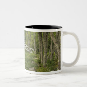 White footbridge, Somesville, Mount Desert Two-Tone Coffee Mug