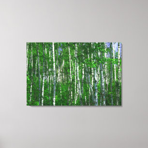 WHITE FOREST 24x36 Canvas Print
