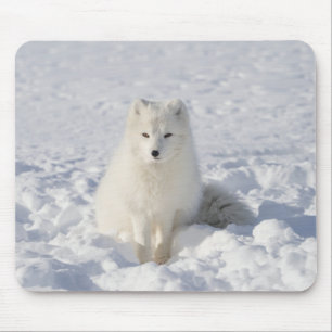 White fox mouse mat