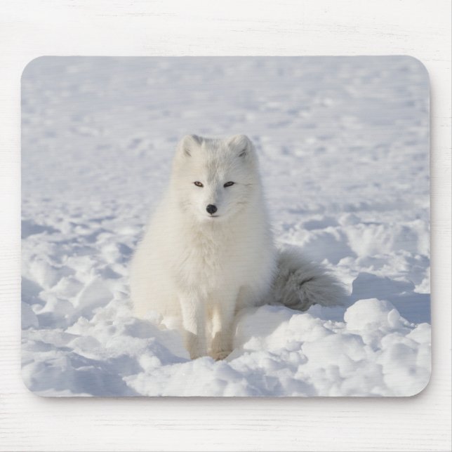 White fox mouse mat (Front)