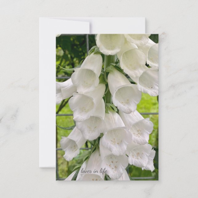 White Foxglove Card (Front)