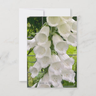 White Foxglove Card