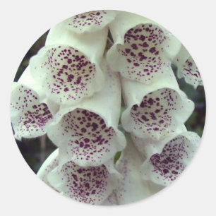 White Foxglove Classic Round Sticker