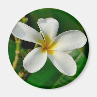 White Frangipani Canvas Print Laptop Sleeve Servin