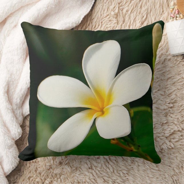 White Frangipani Cushion (Blanket)