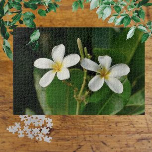 White Frangipani Jigsaw Puzzle