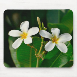 White Frangipani Mouse Mat