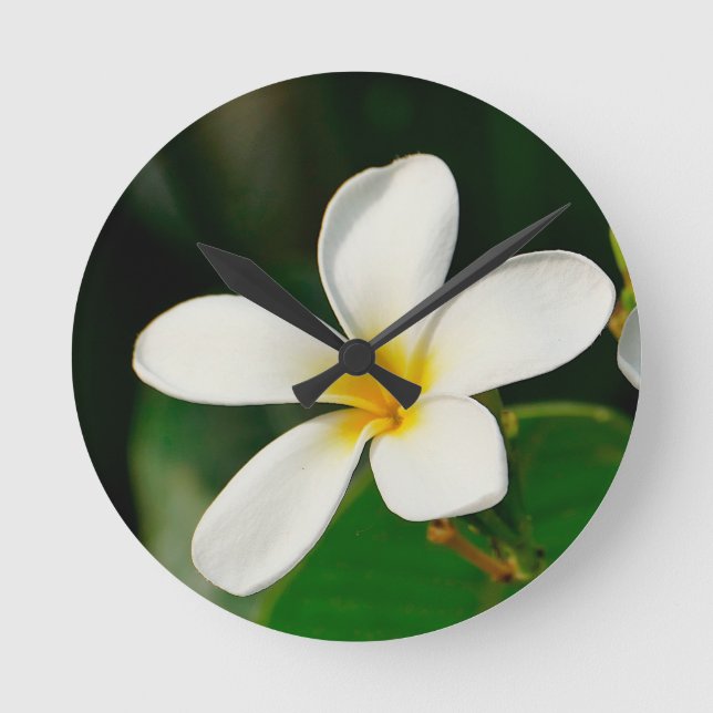 White Frangipani Round Clock (Front)