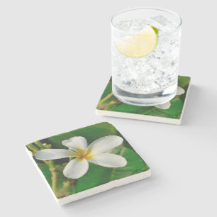 White Frangipani Stone Coaster