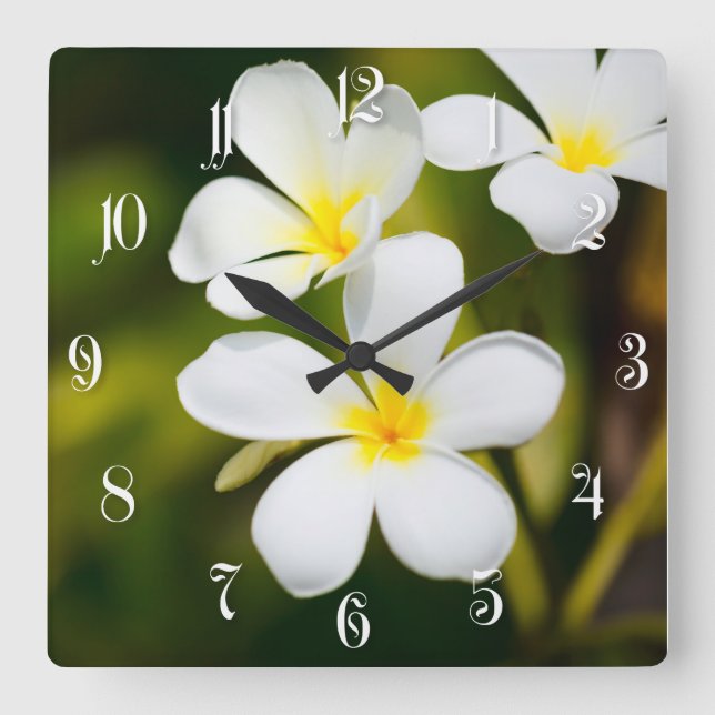 White frangipani tropical flowers square wall clock (Front)