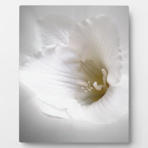 white freesia plaque