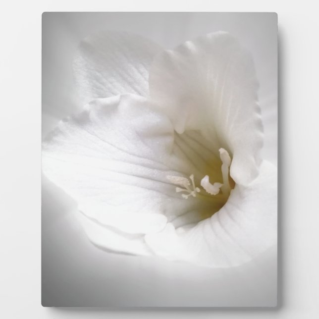 white freesia plaque (Front)