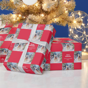 White French Bulldog in Snow Red Christmas Wrapping Paper