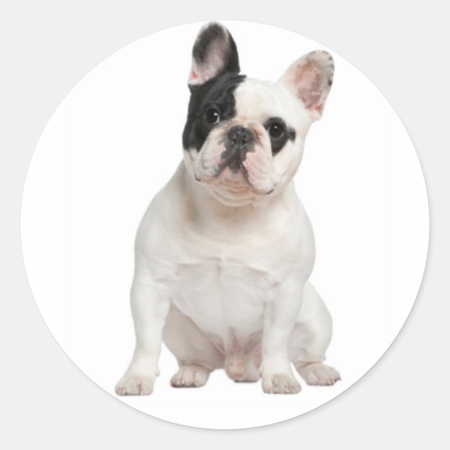 White French Bulldog Puppy Dog Black Eye Classic Round Sticker (Front)