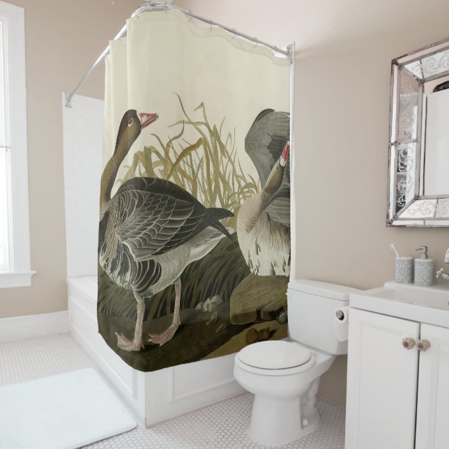 White-fronted Goose from Audubon Birds of America  Shower Curtain (In Situ)