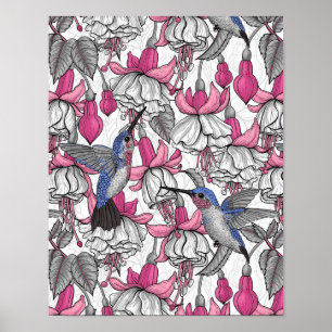 White fuchsia and hummingbirds poster