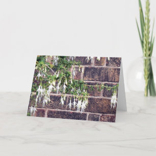 White Fuchsia Flowers Greeting Card
