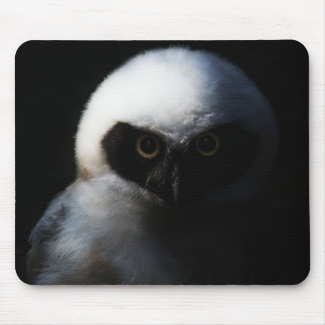 White Fuzzy Owl with Piercing Gaze Mouse Mat (Front)