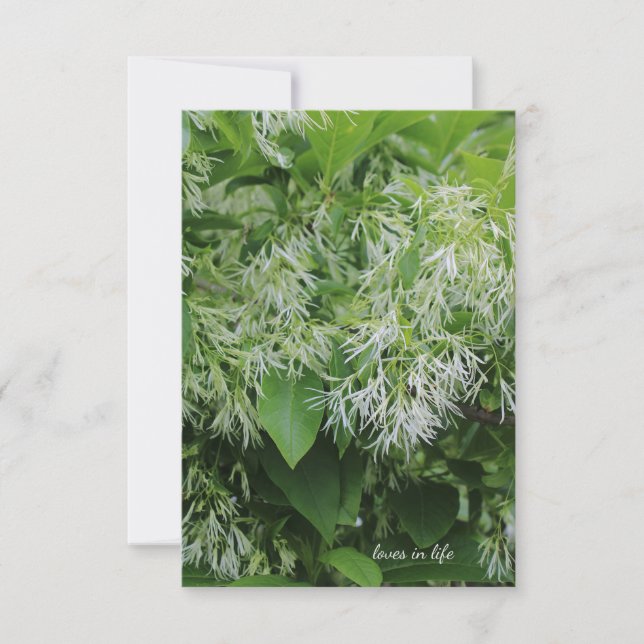 White Garden Flowers Card (Front)