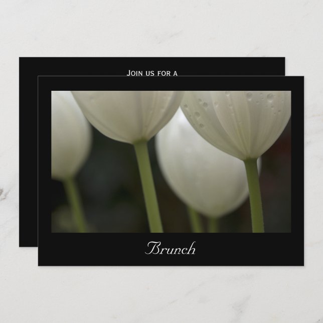 White Garden Tulips Spring Post Wedding Brunch Invitation (Front/Back)