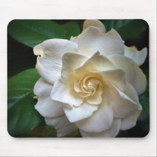 White Gardenia Flower Mouse Mat
