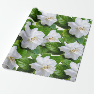 White gardenia flowers and green wrapping paper