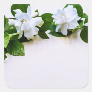 White Gardenia Flowers Square Sticker