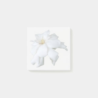 White Gardenia Sticky Notes
