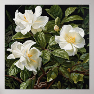 White Gardenias Flower Art Print Poster