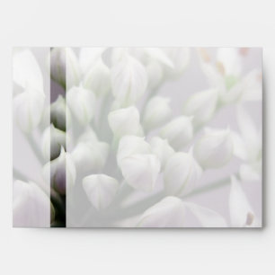 White Garlic Chive Blossoms on Purple Envelope