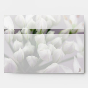 White Garlic Chive Blossoms on Purple Envelopes
