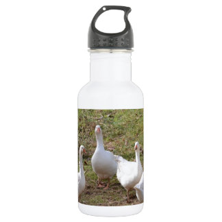 White Geese 532 Ml Water Bottle