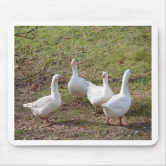 White Geese Mouse Mat