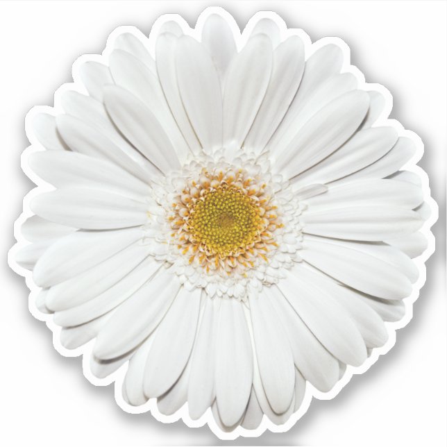 White Gerber Daisy Flower Kiss-Cut Sticker (Front)