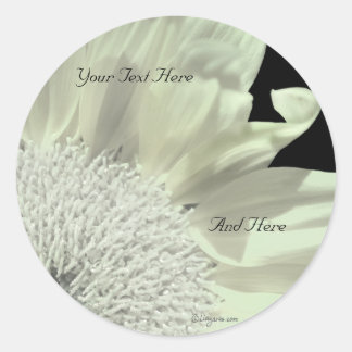 White Gerbera Custom Envelope Seals