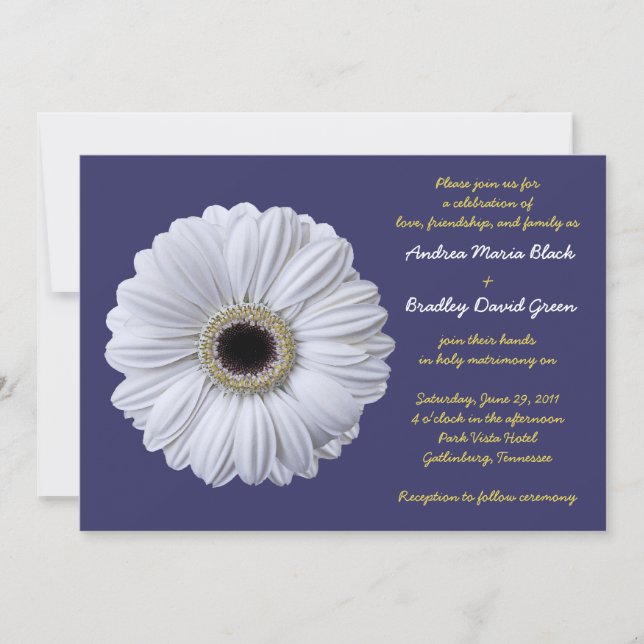 White Gerbera Daisy Navy Blue Wedding Invitation (Front)