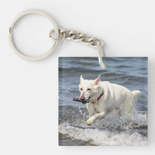 White German Shepard on Lake George Key Ring