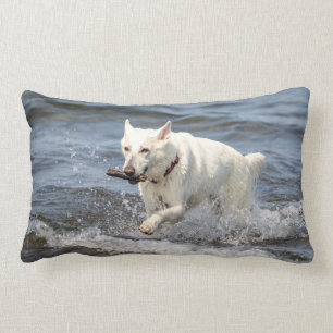 White German Shepard on Lake George Lumbar Cushion