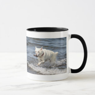 White German Shepard on Lake George Mug