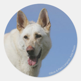 White German Shepherd Classic Round Sticker