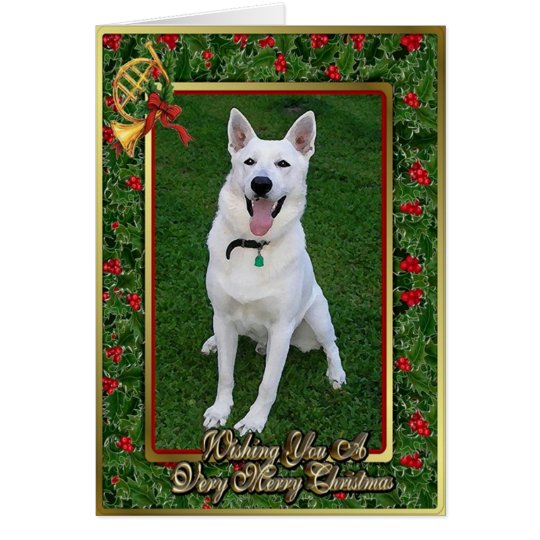 White German Shepherd Dog Blank Christmas Card