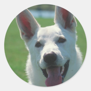White German Shepherd Dog Classic Round Sticker