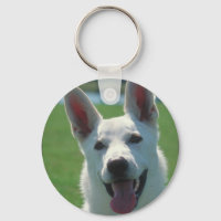White German Shepherd Dog