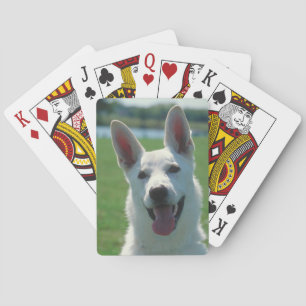 White German Shepherd Dog Playing Cards